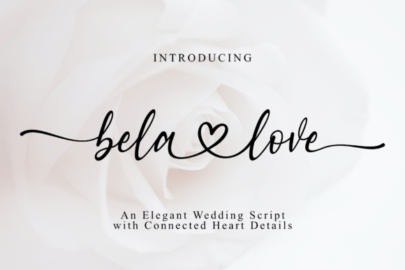 Bela Love: The Romantic Script Font for Campaign Designers
